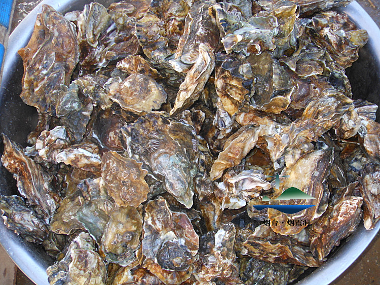 照片 2696.jpg