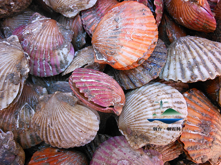 照片 2702.jpg