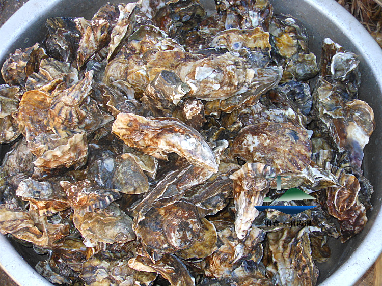 照片 2704.jpg