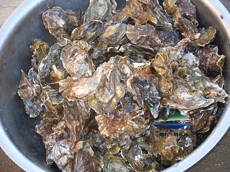 照片 2705.jpg