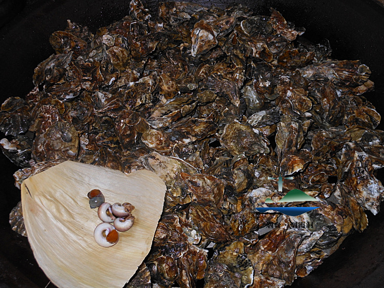 照片 2708.jpg