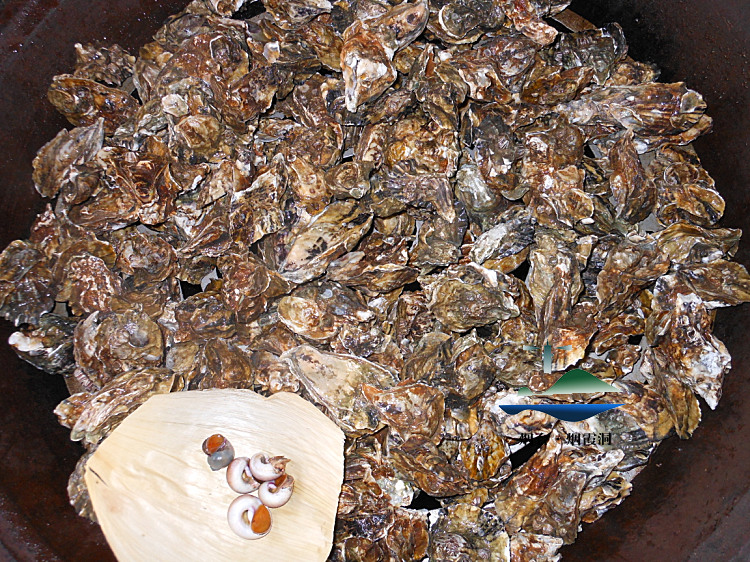 照片 2710.jpg