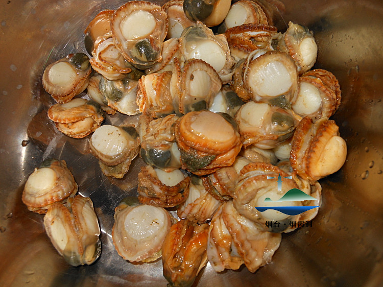 照片 2732.jpg