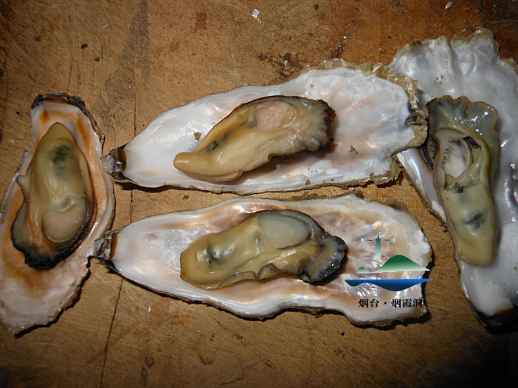 照片 2750.jpg