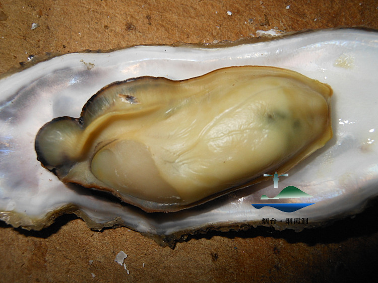 照片 2751.jpg
