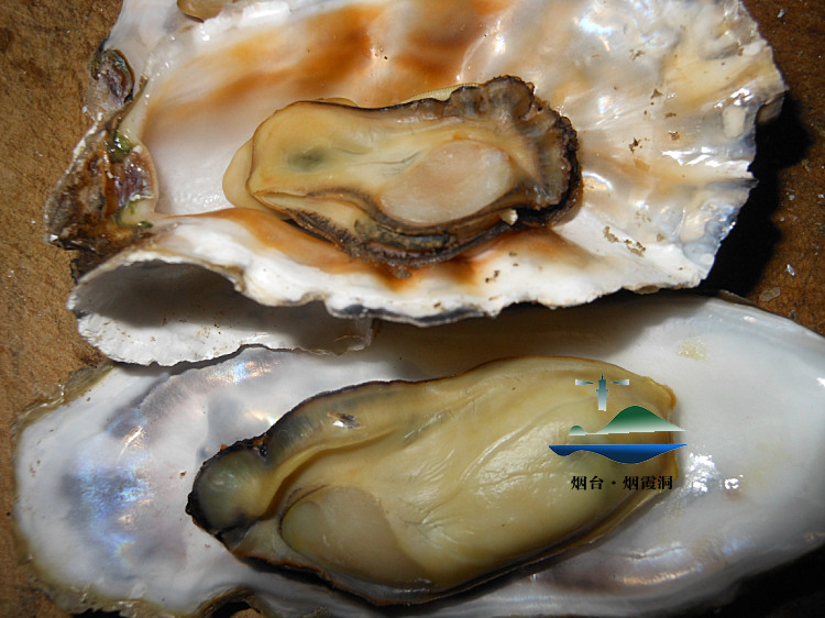 照片 2753.jpg