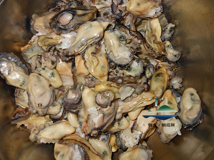 照片 2754.jpg