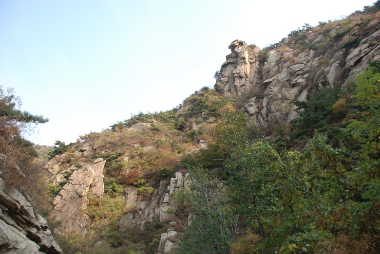 dsc_8684_conew1.jpg