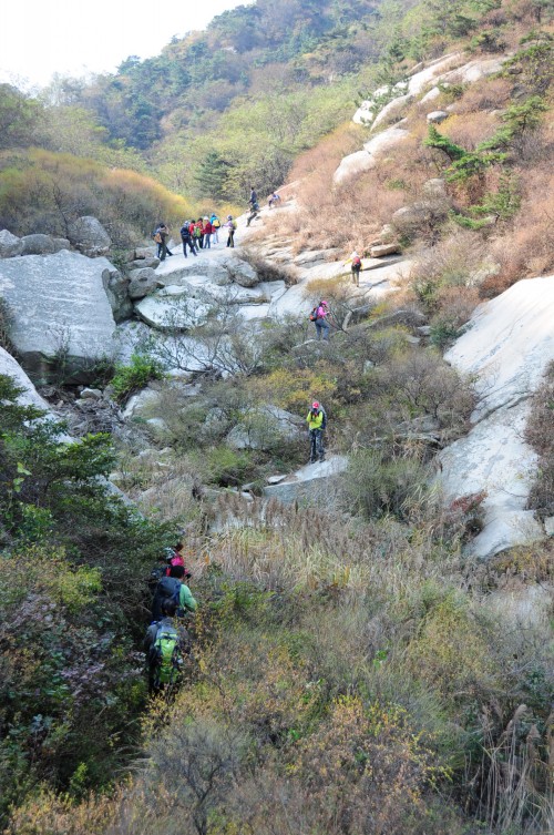 dsc_0267_conew1.jpg