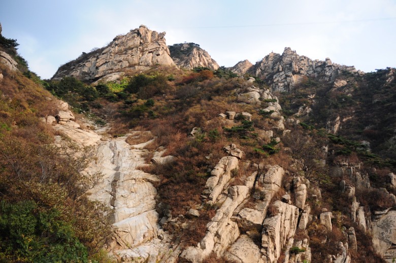 dsc_0536_conew1.jpg