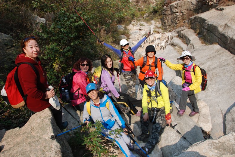 dsc_8733_conew1.jpg