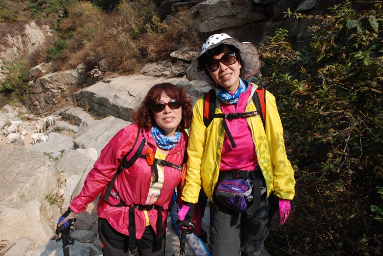 dsc_8735_conew1.jpg