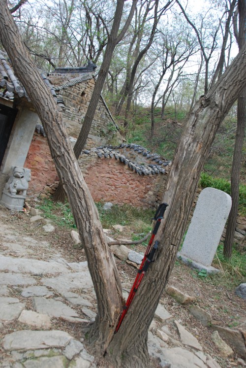 dsc_8972_conew1.jpg
