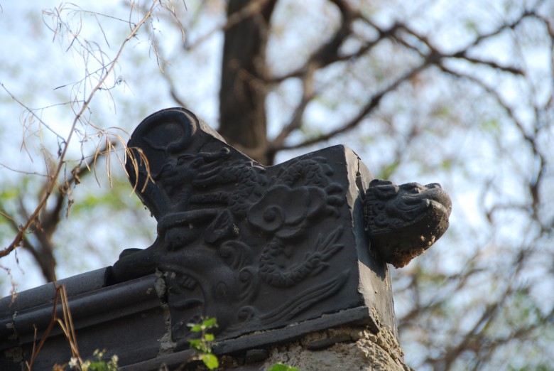 dsc_8966_conew1.jpg