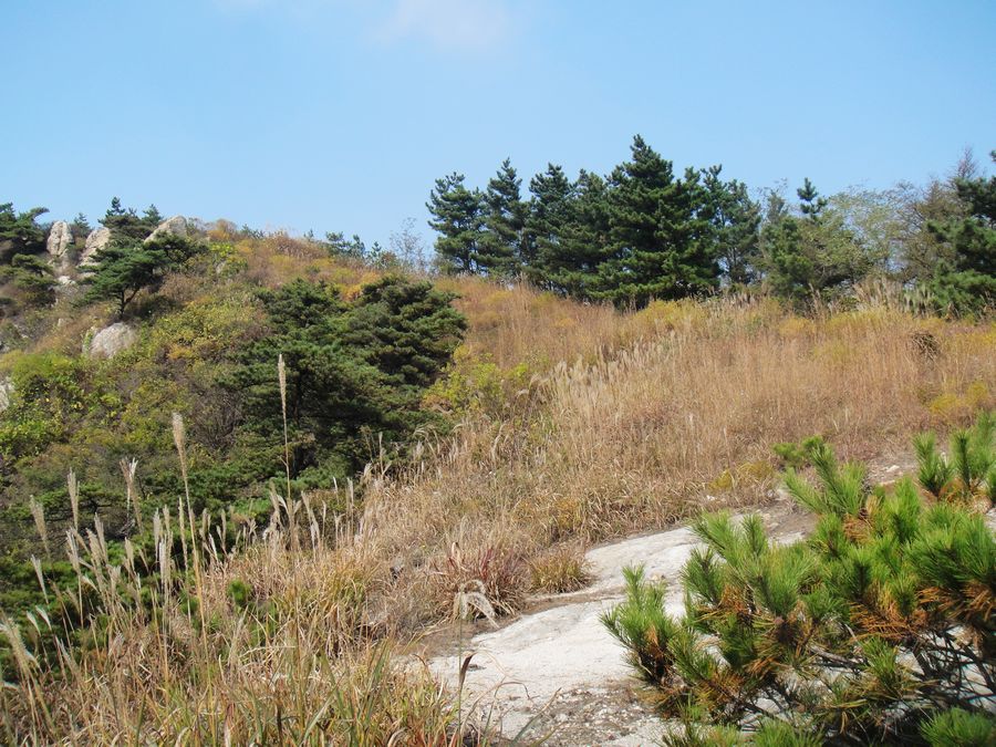 DSC03042.jpg