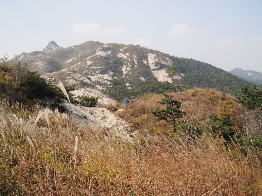 DSC03075.jpg