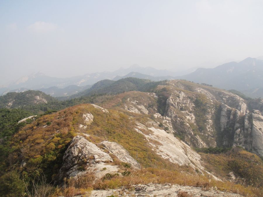 DSC03073.jpg