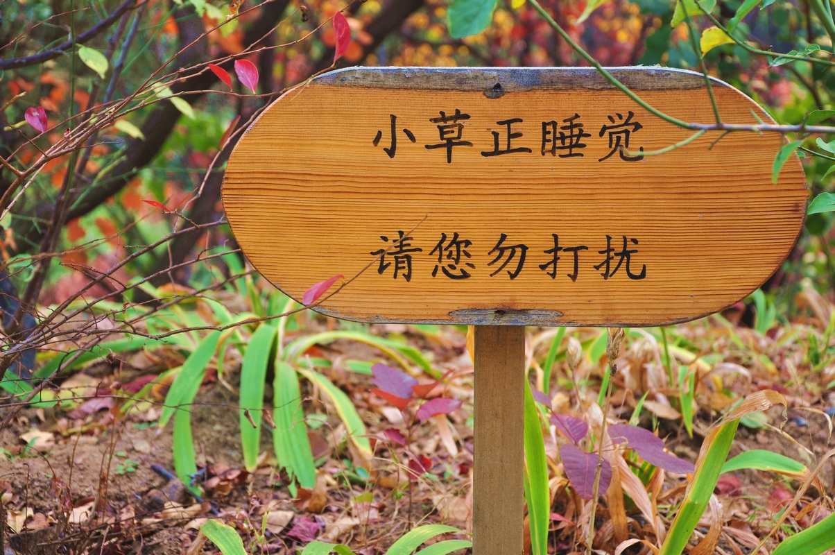 红叶谷 085.jpg