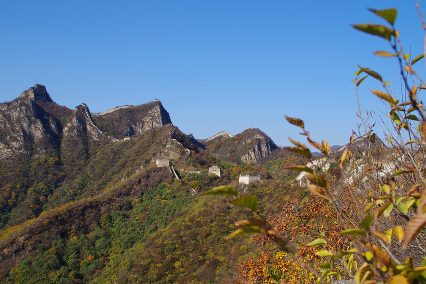 IMGP7505_副本_副本05.jpg