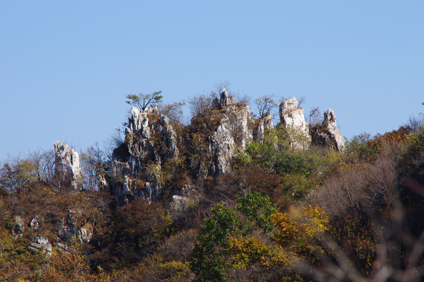 IMGP7539_副本_副本39.jpg