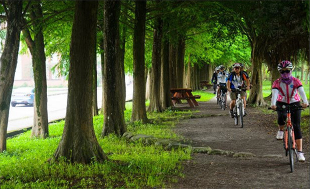 0.骑进高大的光腊树绿廊中，在芬多精里享受自行车分列式的感动。_副本_副本.jpg