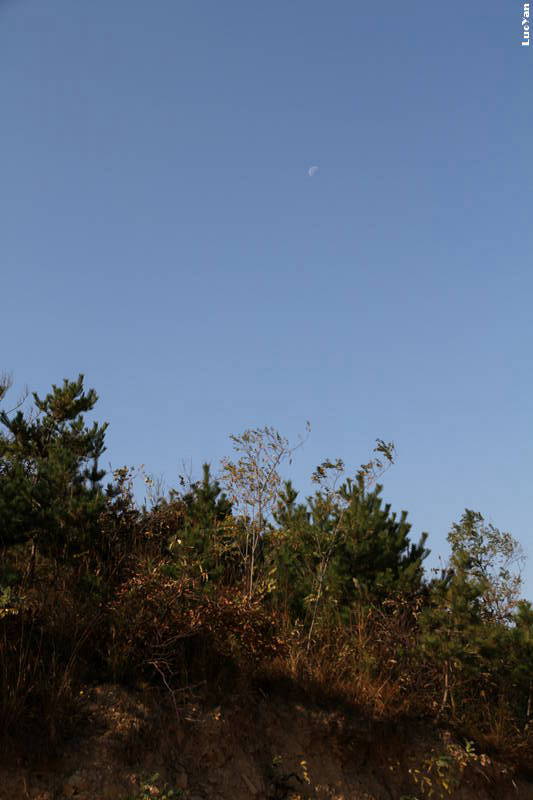 IMG_3760.jpg