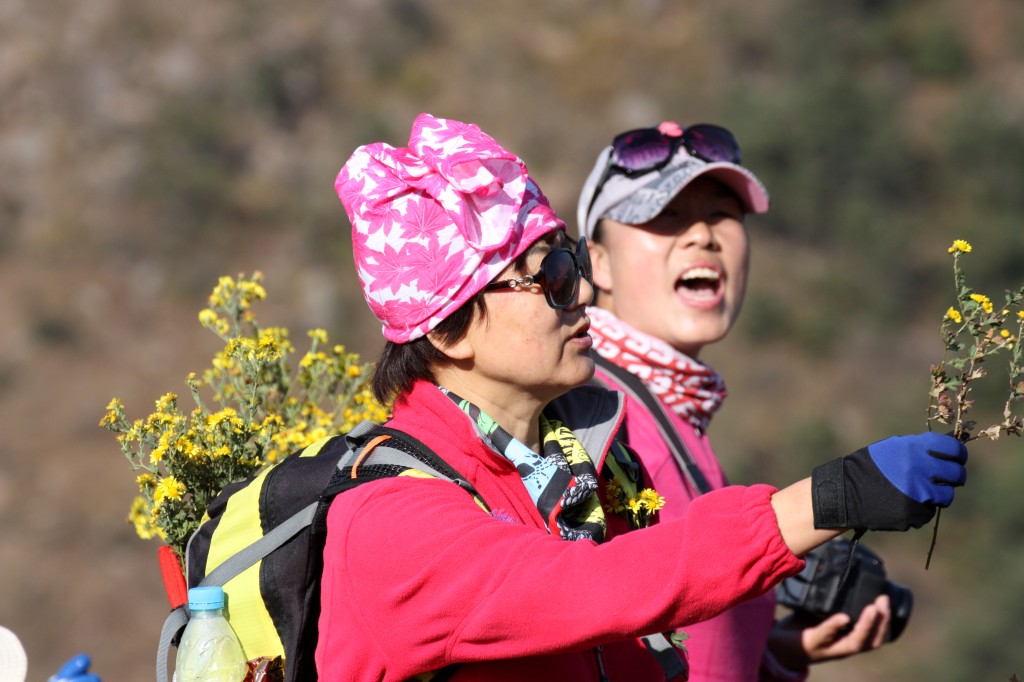 conew_img_8568 - 副本.jpg
