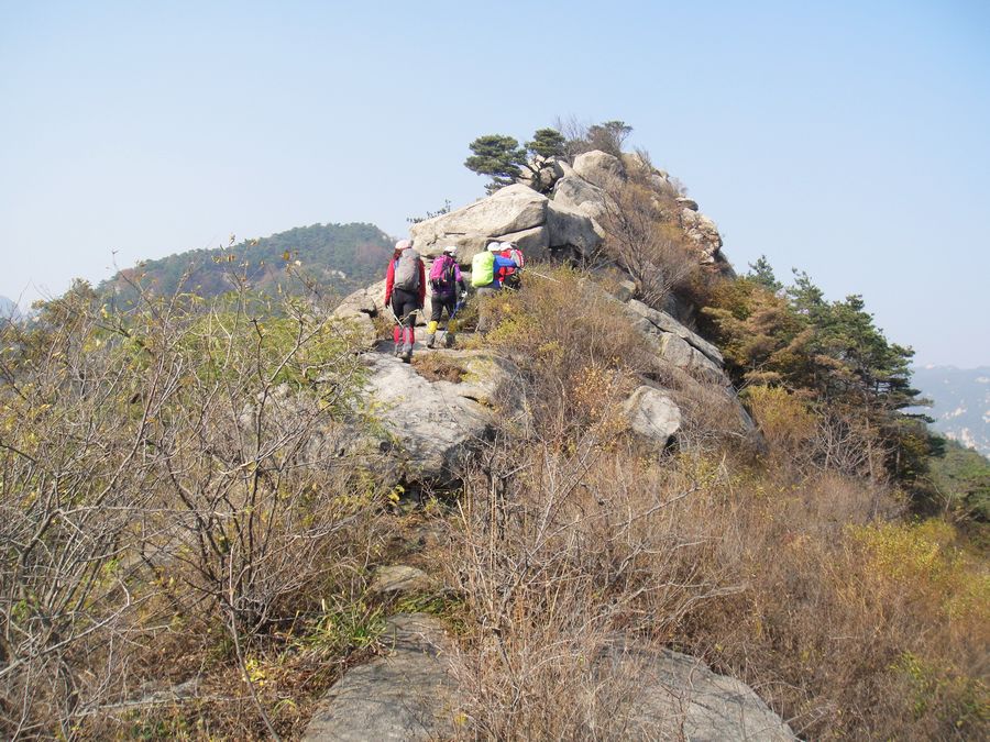 DSC03229.jpg