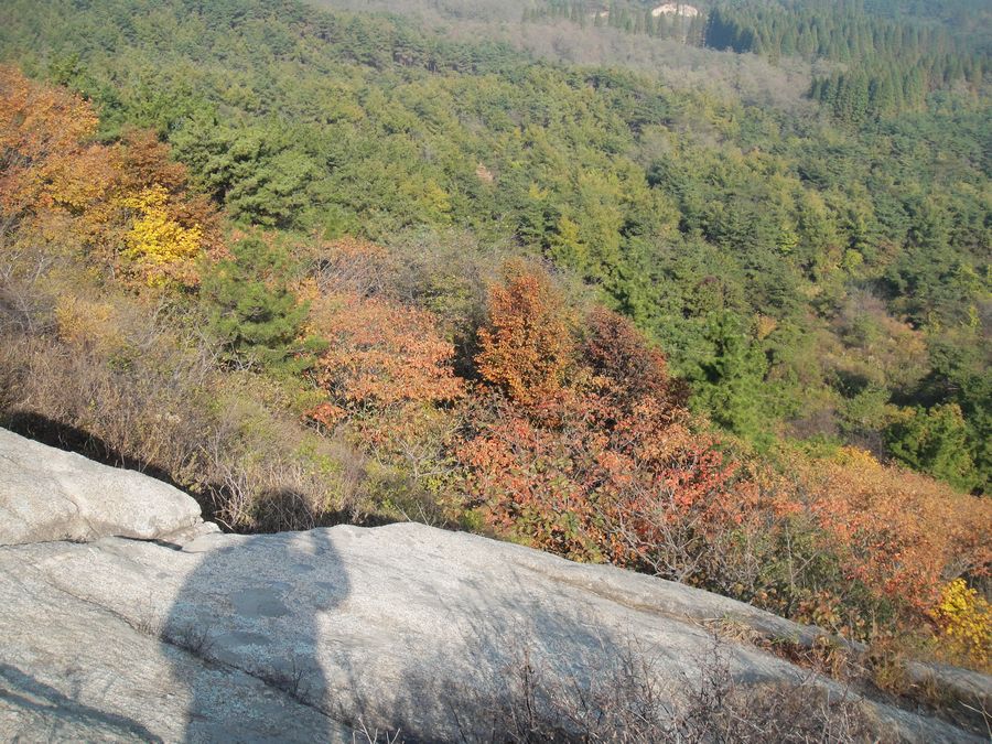 DSC03230.jpg