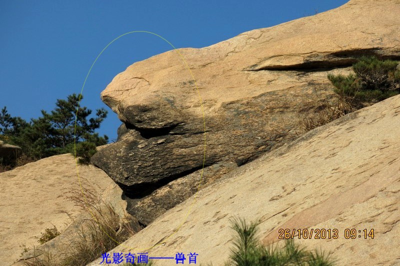 IMG_2506_缩小大小.JPG