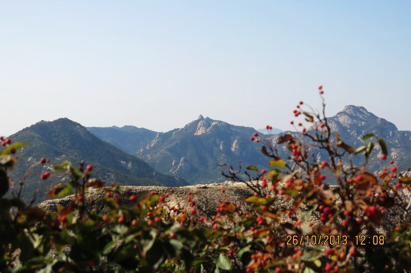 IMG_2618_缩小大小.JPG