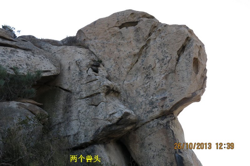 IMG_2623_缩小大小.JPG
