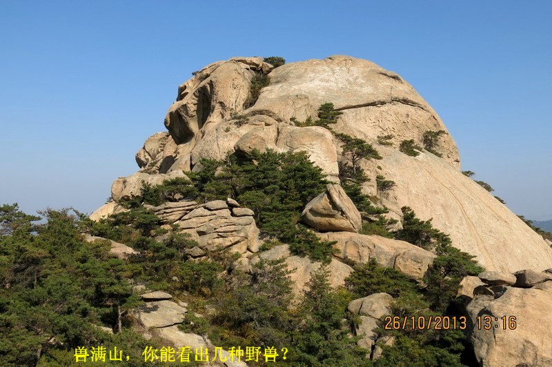 IMG_2631_缩小大小.JPG