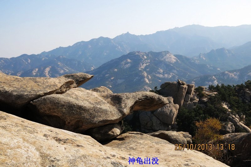 IMG_2637_缩小大小.JPG