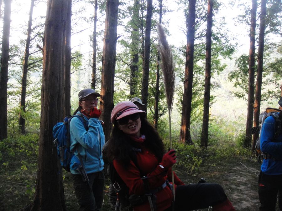 DSC03395.jpg