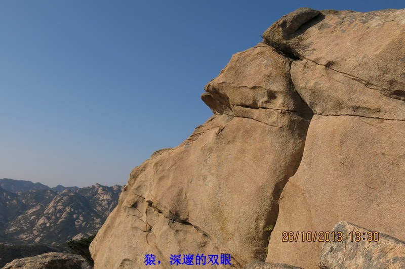 IMG_2649_缩小大小.JPG