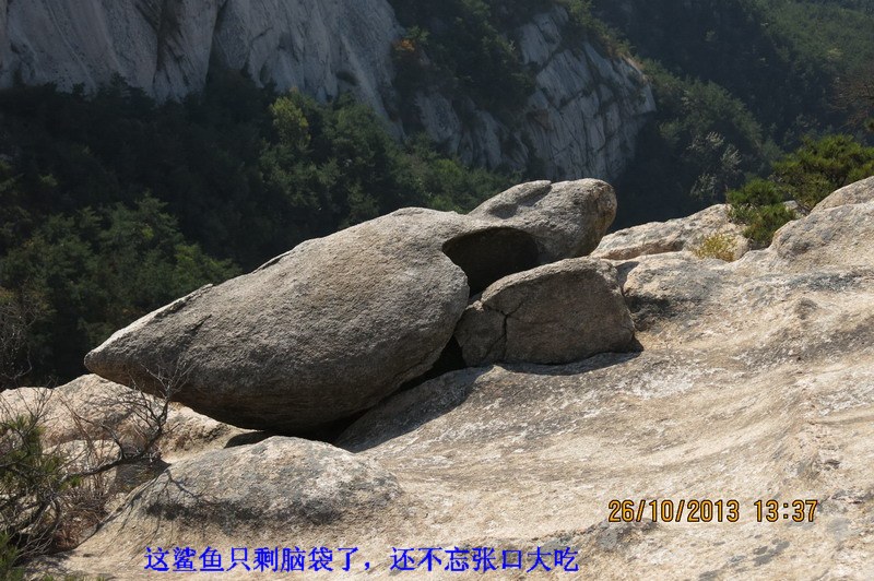 IMG_2654_缩小大小.JPG