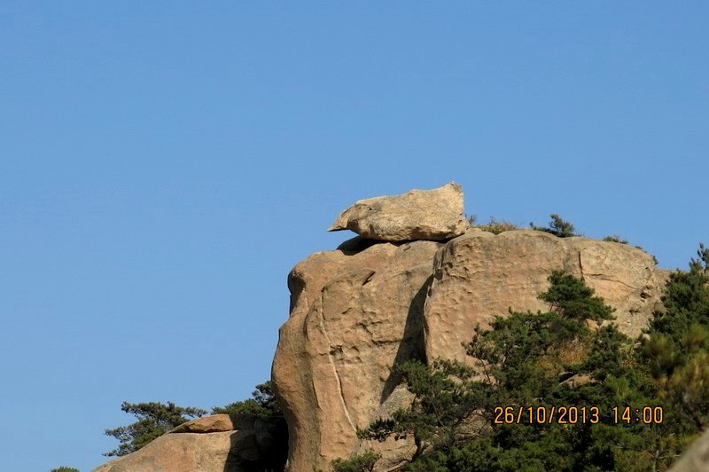 IMG_2672_缩小大小.JPG