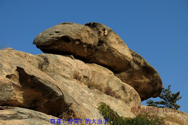 IMG_2678_缩小大小.JPG