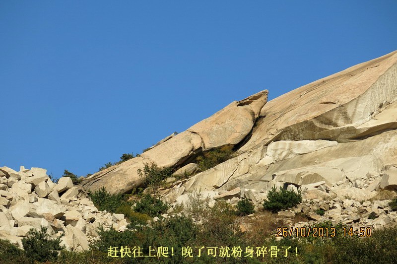 IMG_2694_缩小大小.JPG