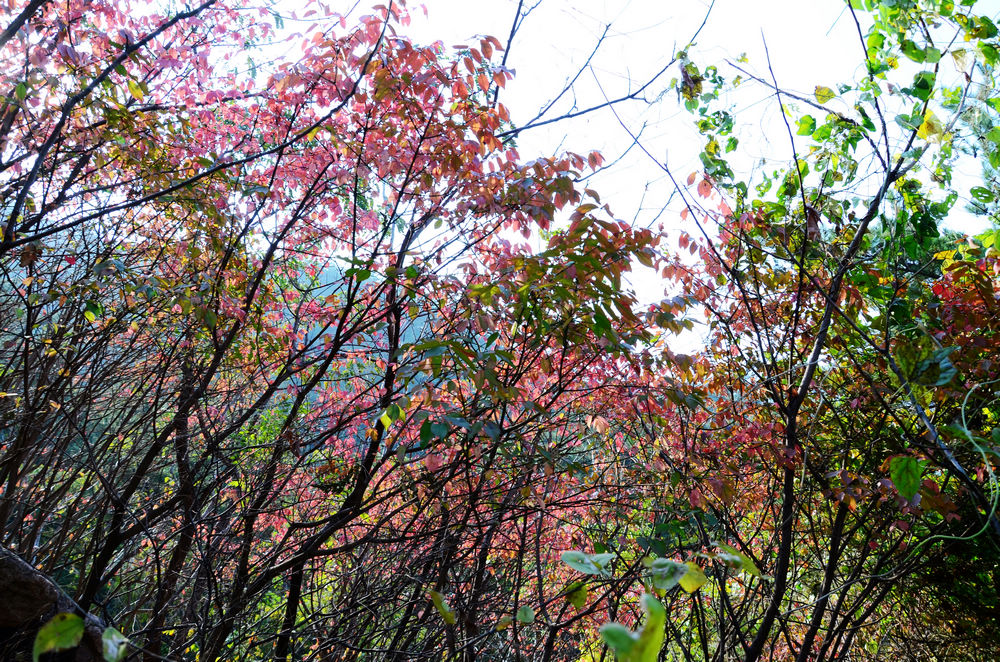 DSC_3189.jpg