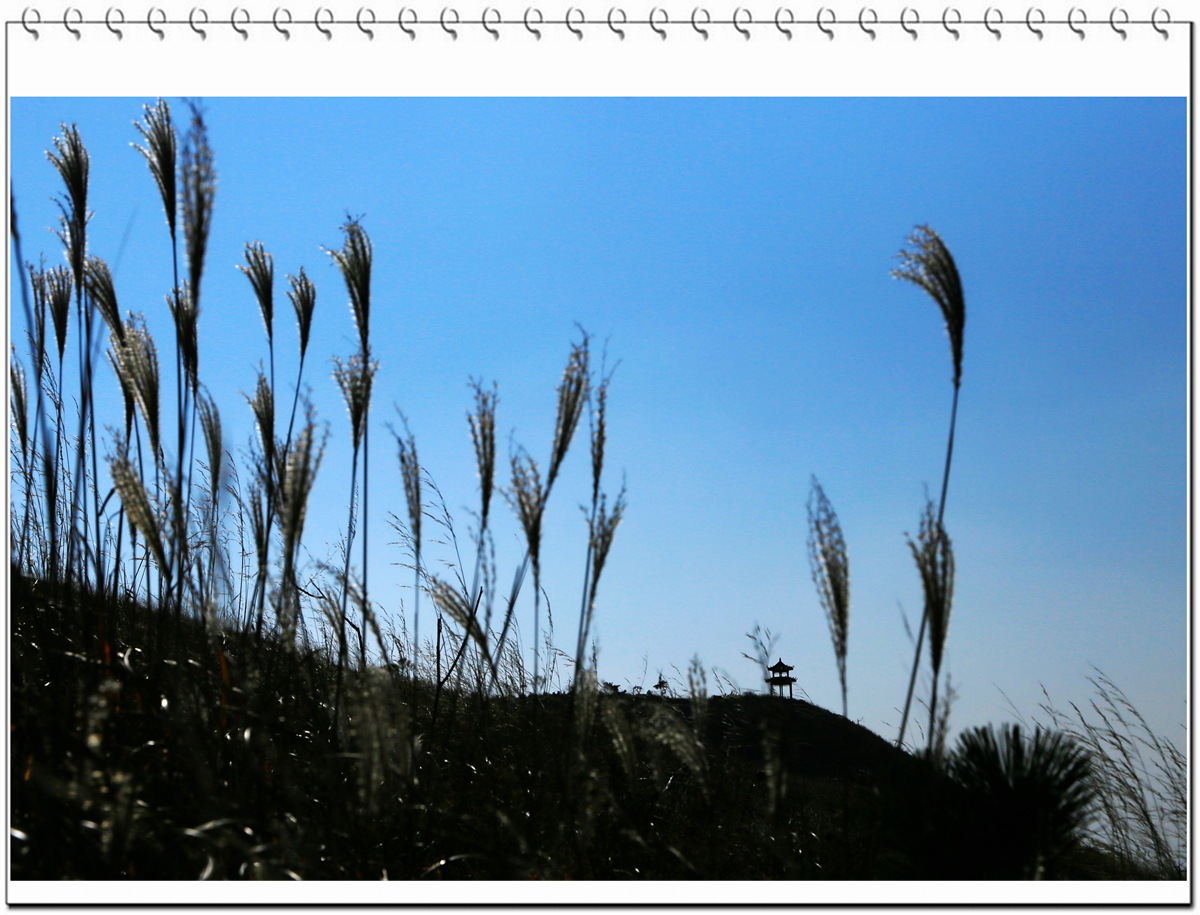 IMG_0384_副本.jpg