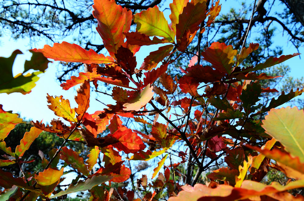 DSC_3264.jpg