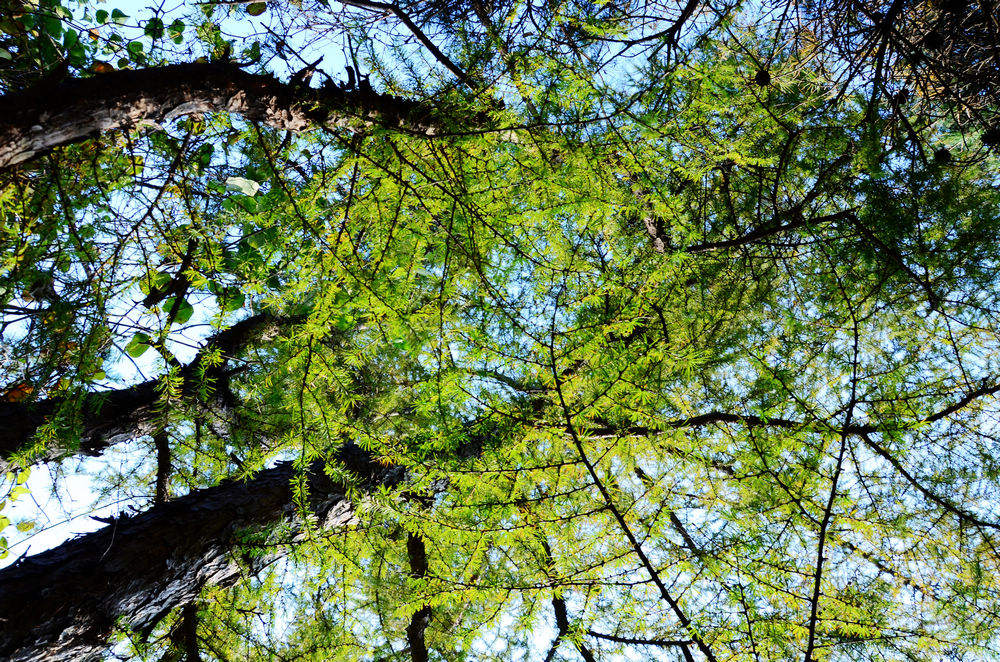 DSC_3343.jpg