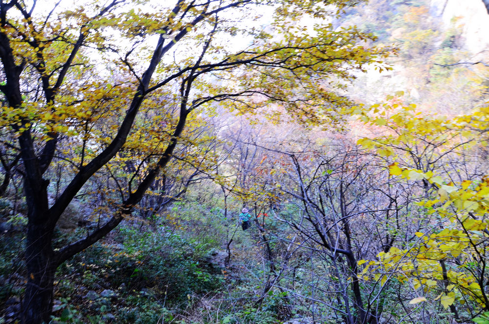 DSC_3357.jpg