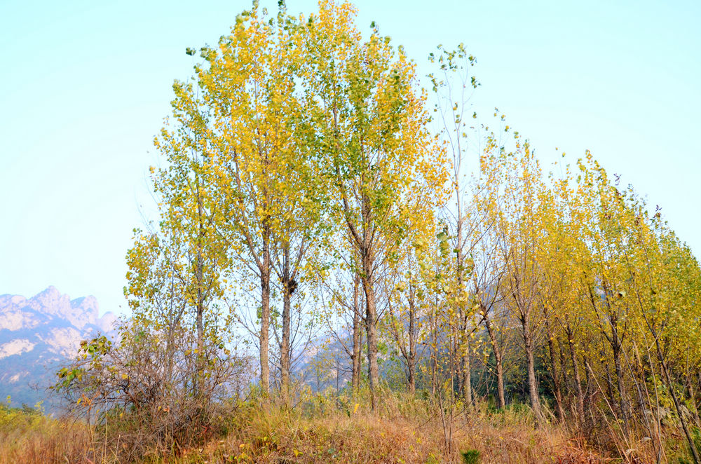 DSC_3446.jpg