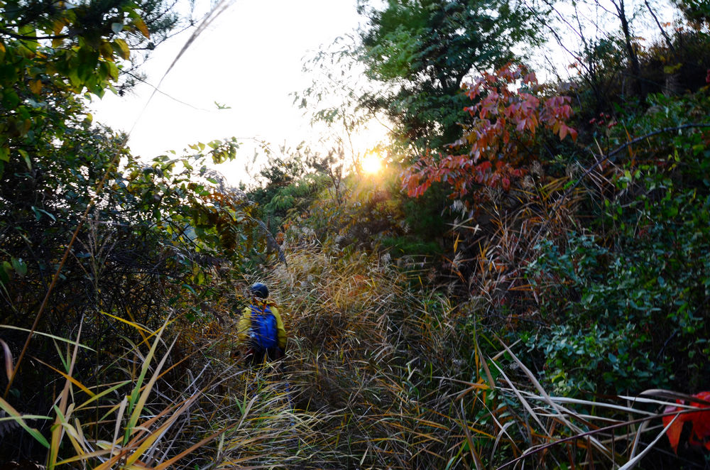 DSC_3470.jpg