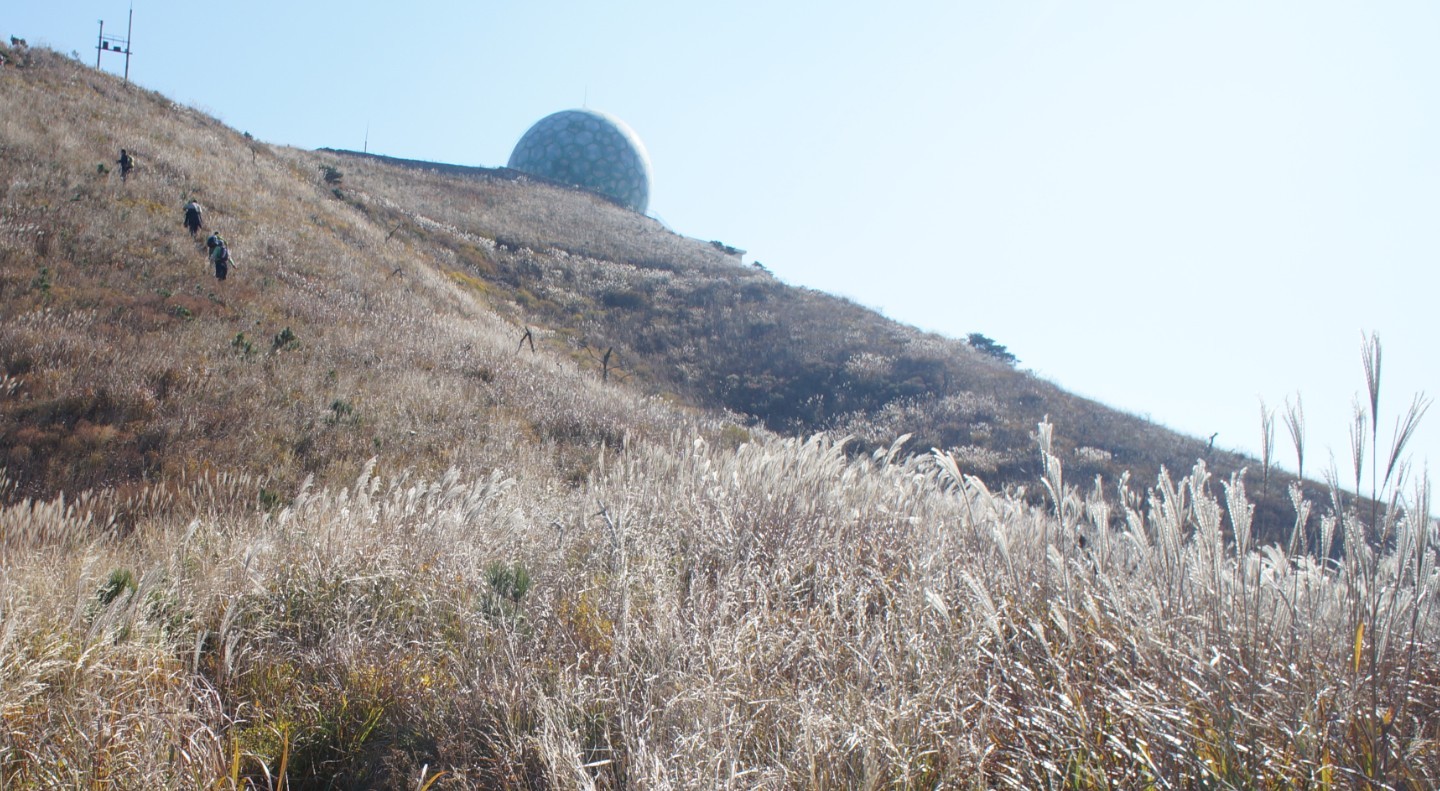 塔顶-2.jpg