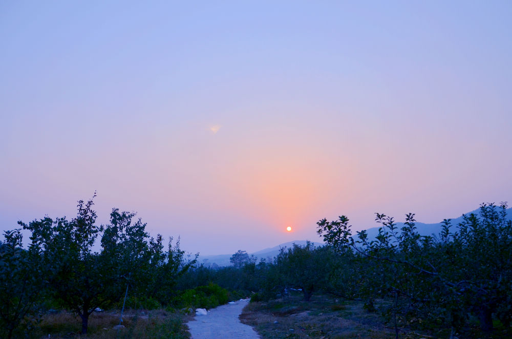 DSC_3513.jpg