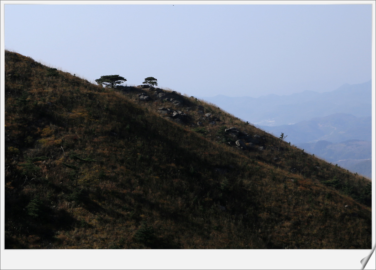 IMG_0483_副本.jpg